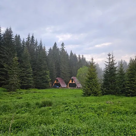 Oaza Jela Case de vacanță